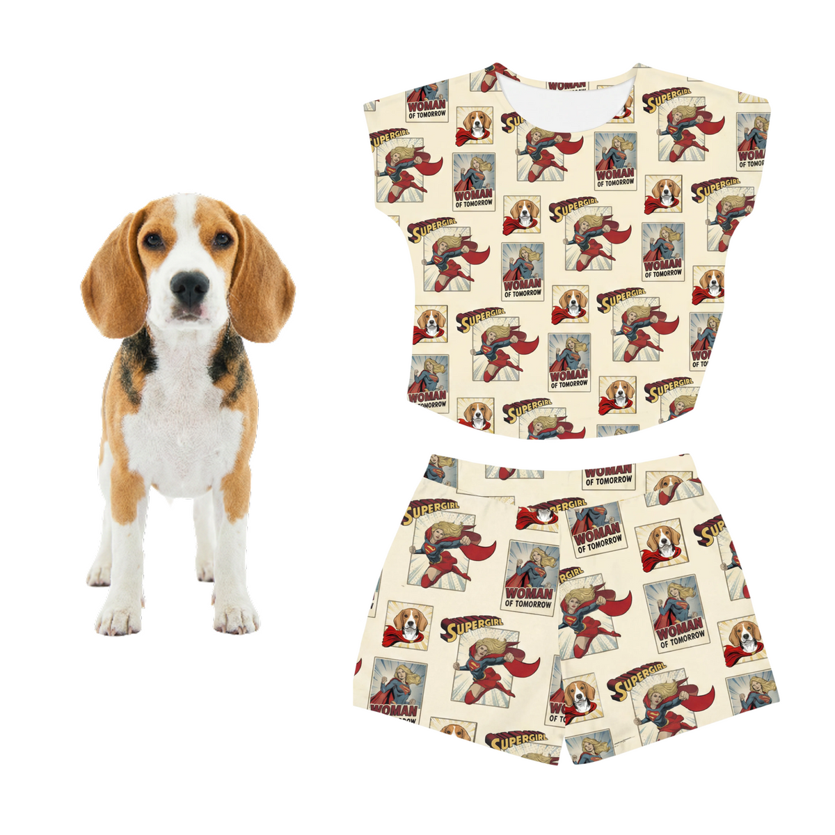 Dog standing next to a matching dog outfit with superhero-themed design on a white background