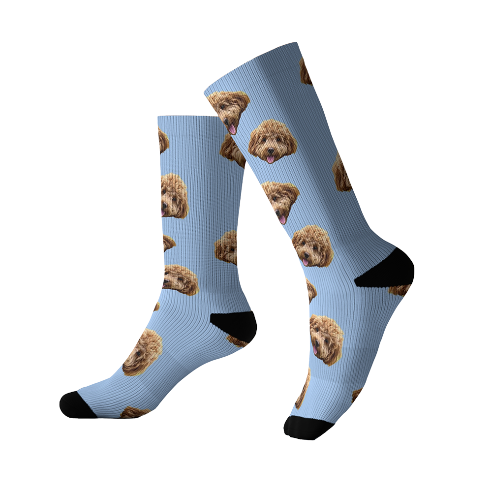 Blue Paws Socks