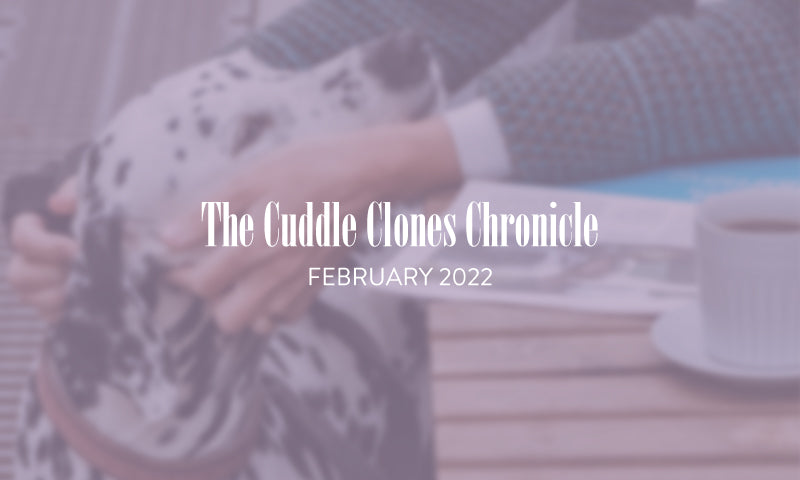 The Cuddle Clones Chronicle | February 2022