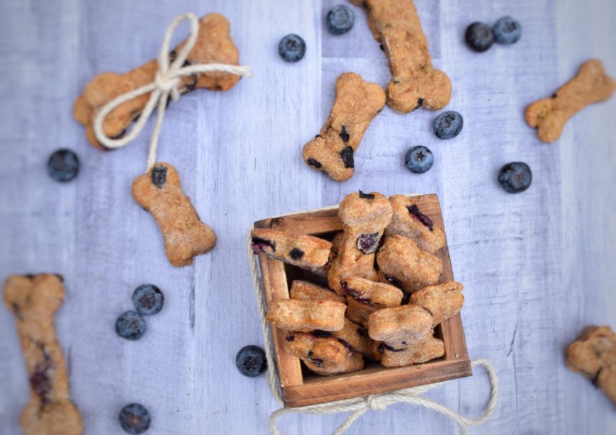 Homemade Dog Treats Your Pup Will Love