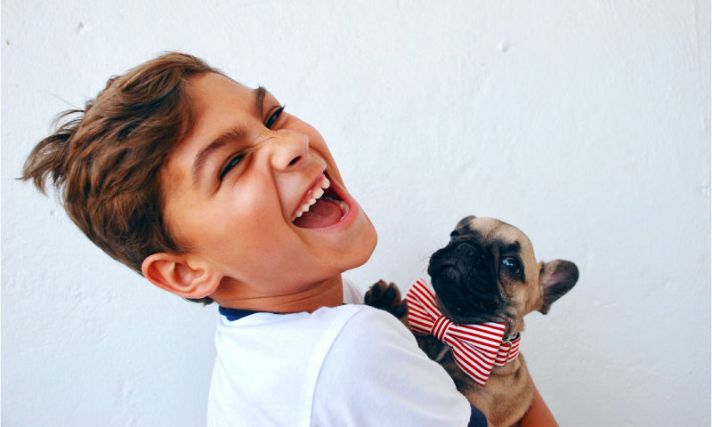 Young boy laughing and holding a puppy wearing a bowtie.