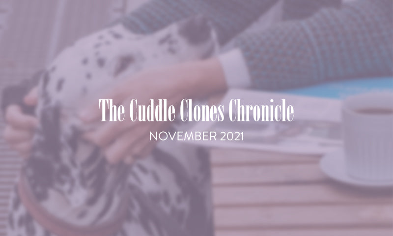 The Cuddle Clones Chronicle | November 2021