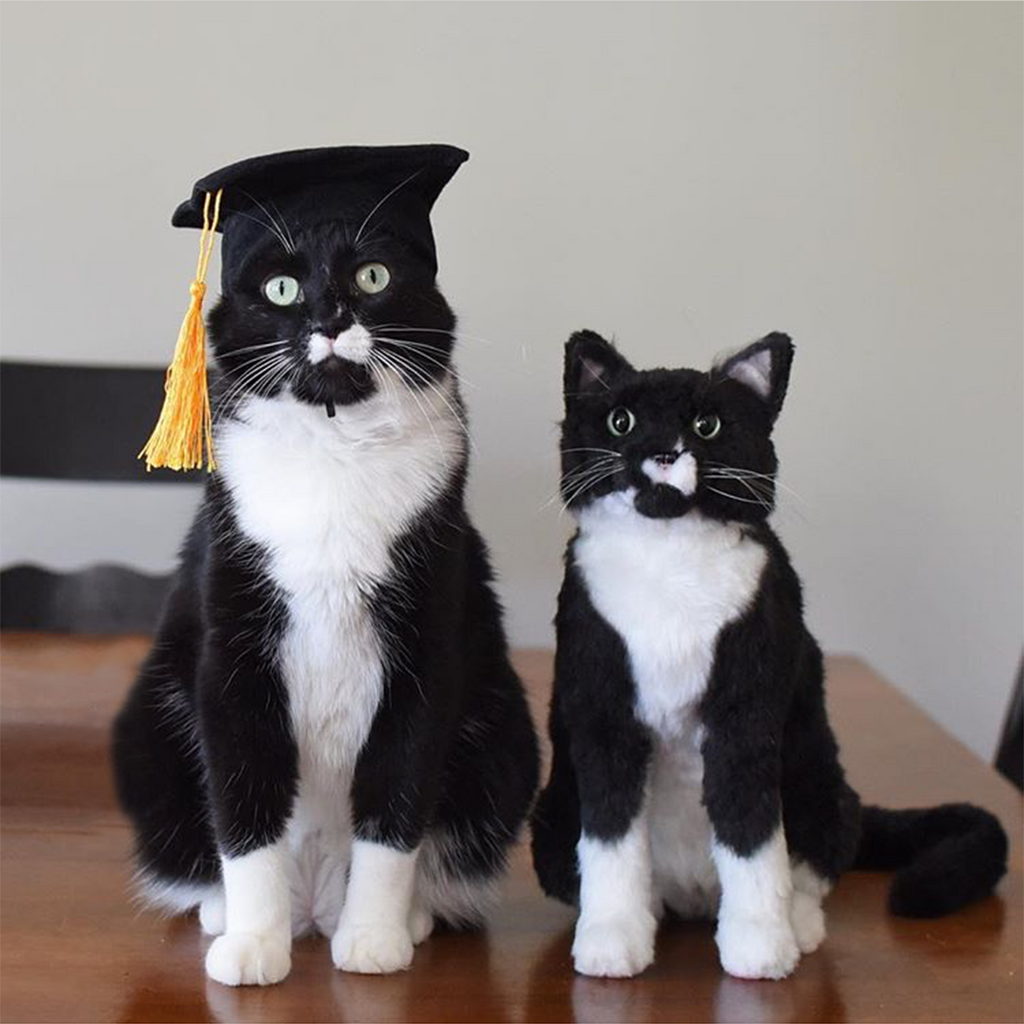 Custom Tuxedo Cat Plush Cuddle Clone