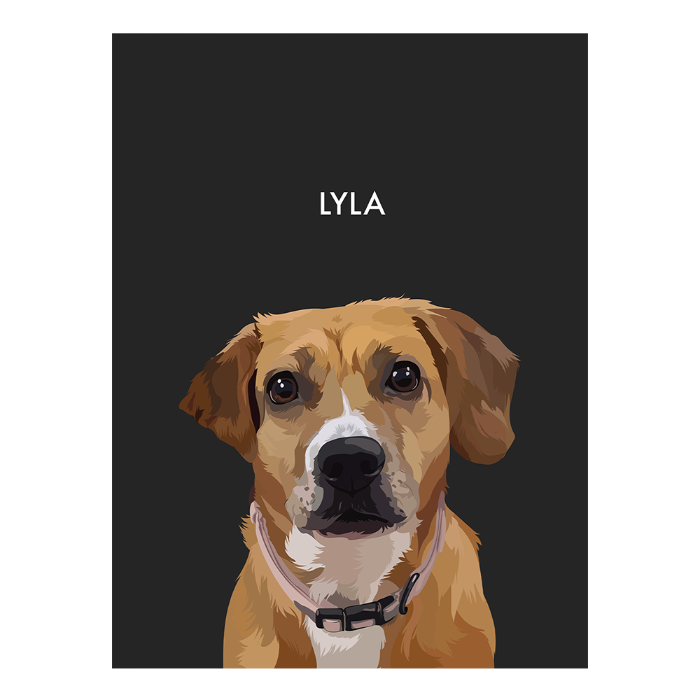 No framed 'Lyla' dog portrait on a black 12x16 canvas background.