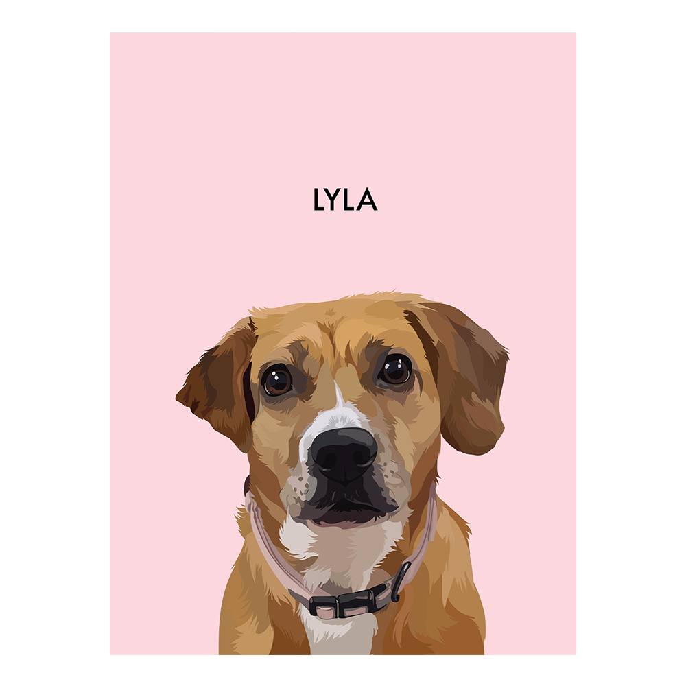 No framed 'Lyla' dog portrait on a pink 12x16 canvas background.
