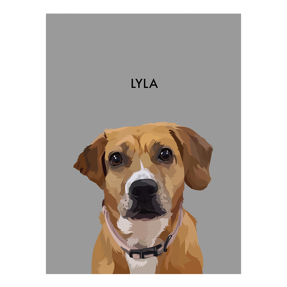 No framed 'Lyla' dog portrait on a gray 8x10 canvas background.