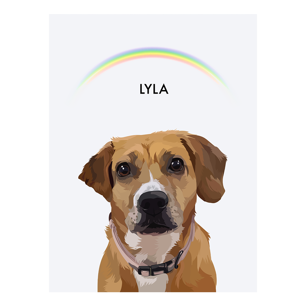 No framed 'Lyla' dog portrait on a white 12x16 canvas with a rainbow background.