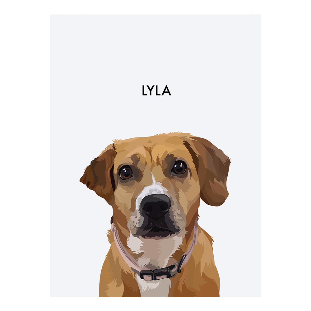 No framed 'Lyla' dog portrait on a white 12x16 canvas background.