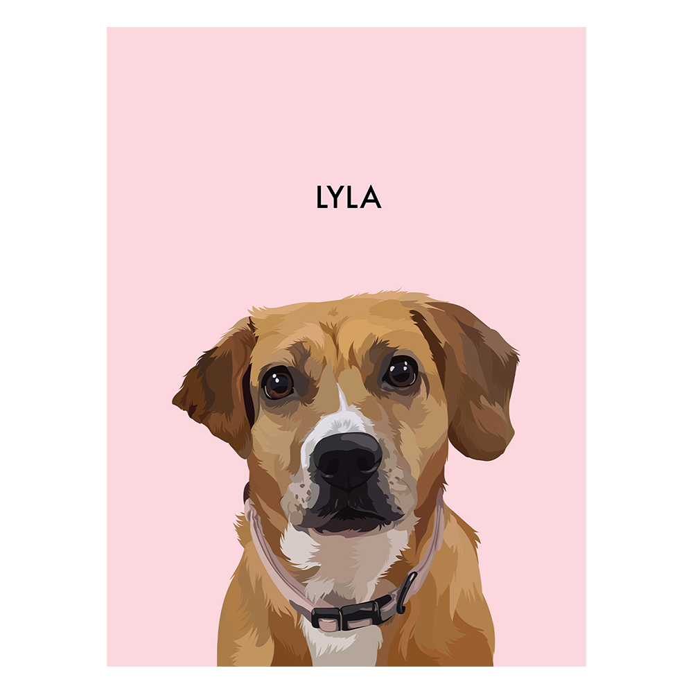 No framed 'Lyla' dog portrait on a pink 18x24 canvas background.