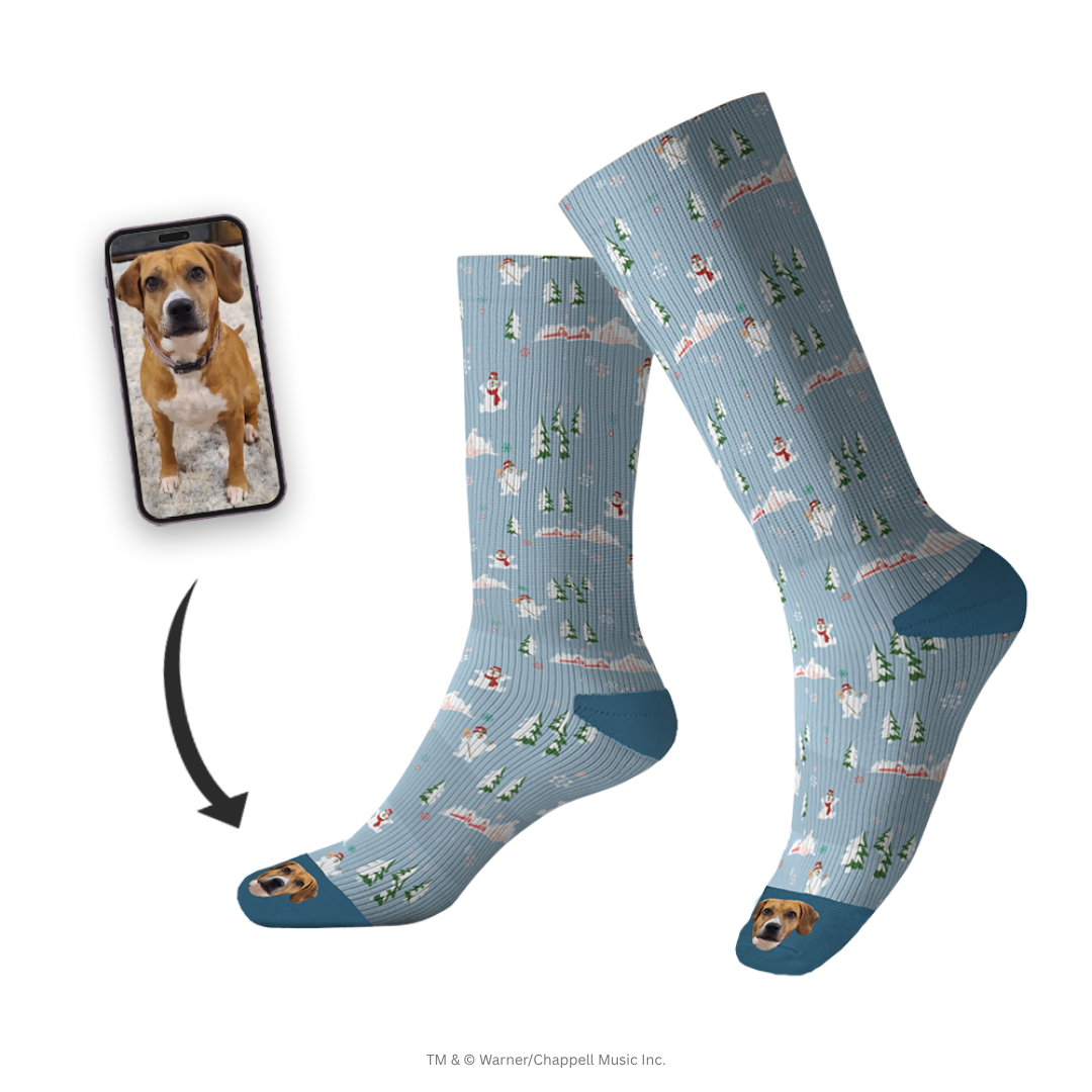 Frosty The Snowman Socks With Your Pet's Face