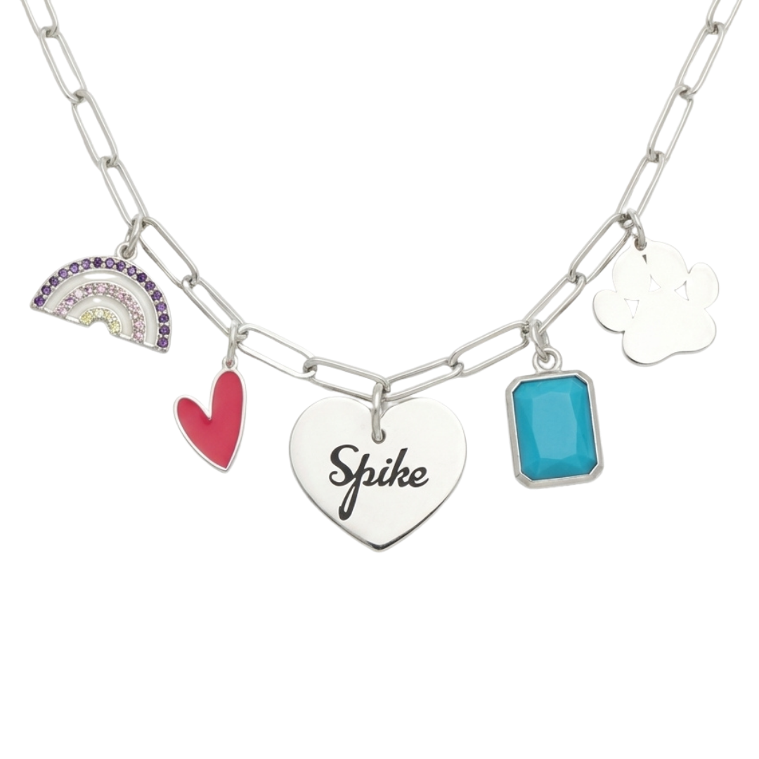 Charm Necklace with various charms including a engraved heart, rainbow, and paw print