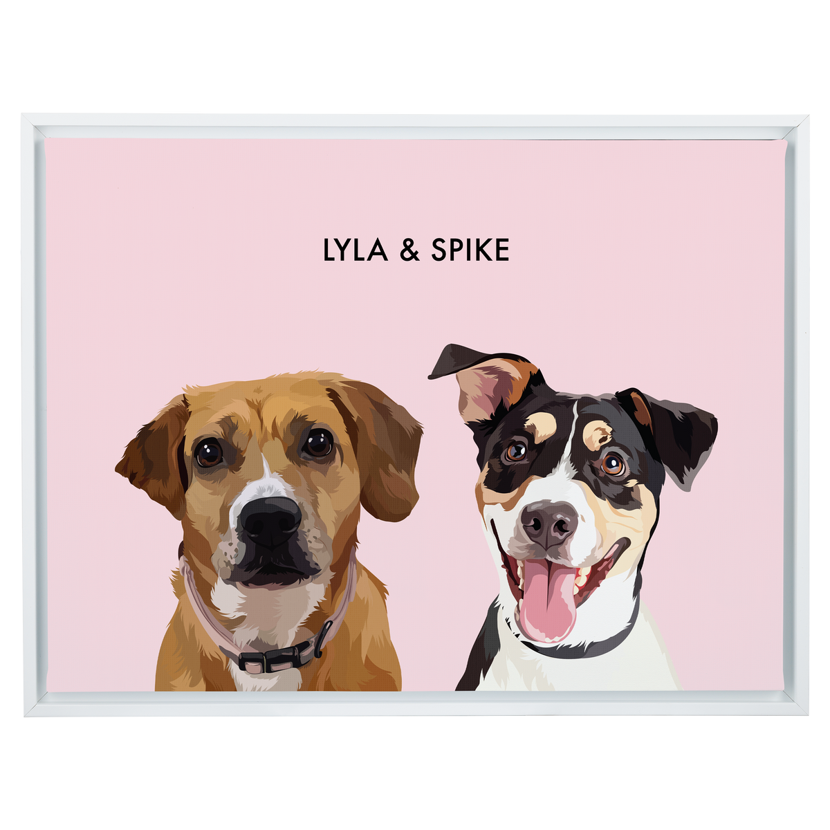 DustyPink12"x16"CanvasFrameWhite