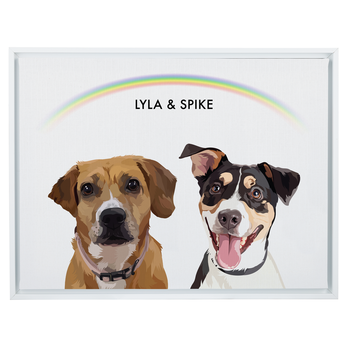 Rainbow12"x16"CanvasFrameWhite