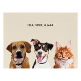 Portrait with three dogs, with no frame and beige background. 18x24 canvas.