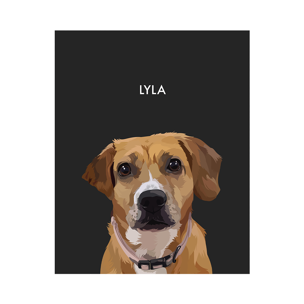 No framed 'Lyla' dog portrait on a black 8x10 canvas background.
