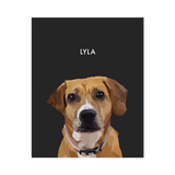 No framed 'Lyla' dog portrait on a black 8x10 canvas background.