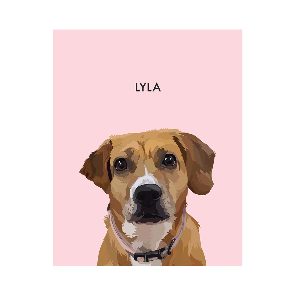 No framed 'Lyla' dog portrait on a pink 8x10 canvas background.