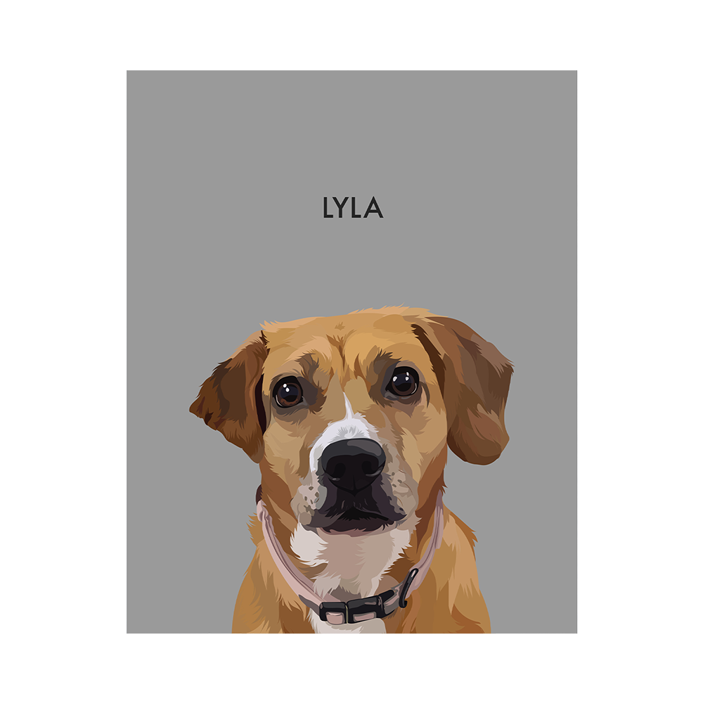 No framed 'Lyla' dog portrait on a gray 8x10 canvas background.