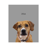 No framed 'Lyla' dog portrait on a gray 8x10 canvas background.