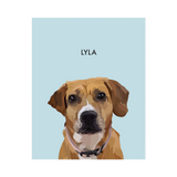 No framed 'Lyla' dog portrait on a blue 8x10 canvas background.