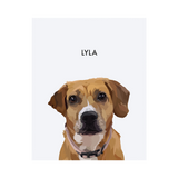No framed 'Lyla' dog portrait on a white 8x10 canvas background.