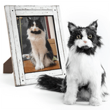 Custom Tuxedo Cat Plush Cuddle Clone 