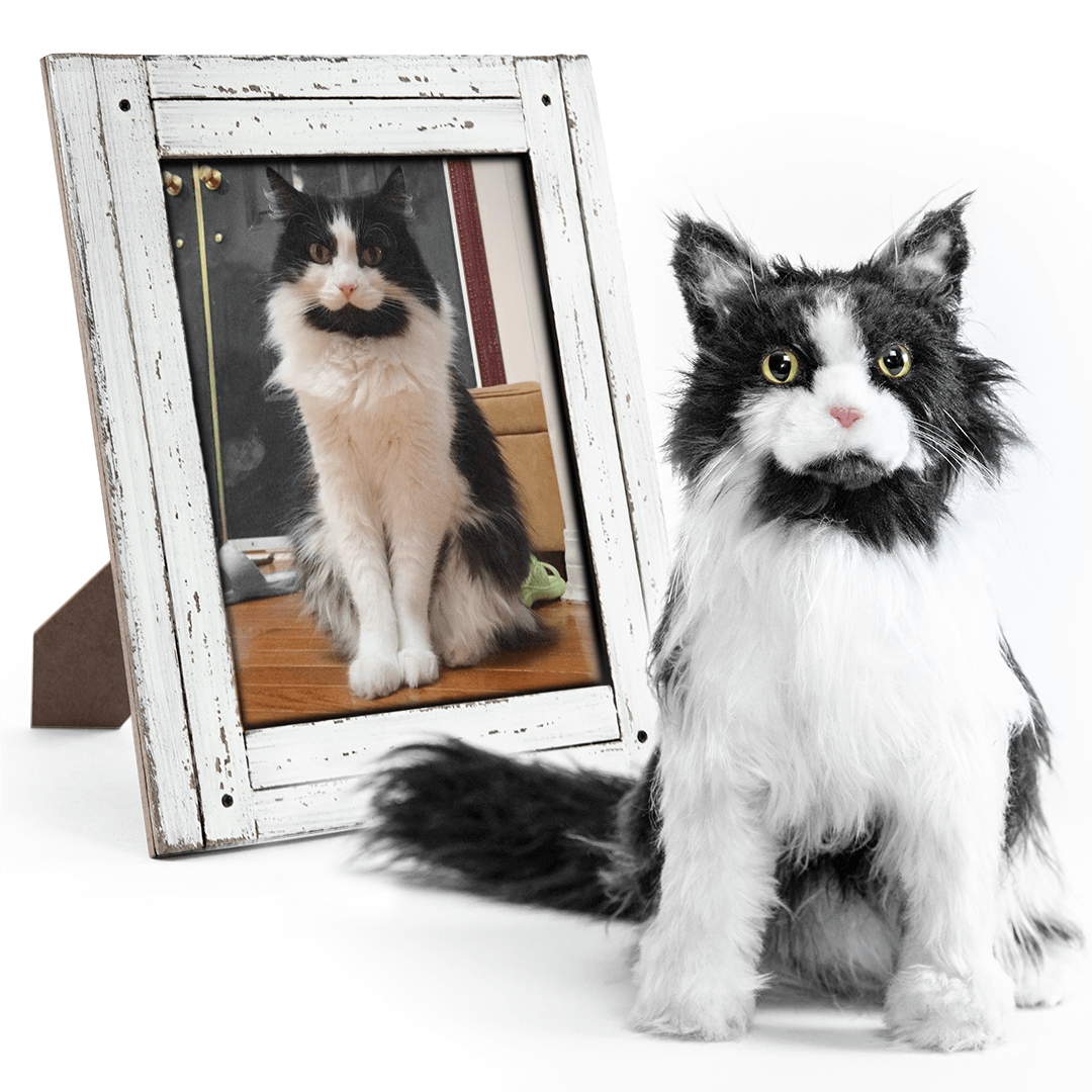 Stuffed Animal That Looks Like Your Pet Customize a High Quality Dog Plush or Plush Pets Perfect Stuffed Animals That Look Like Pets Cuddle Clones