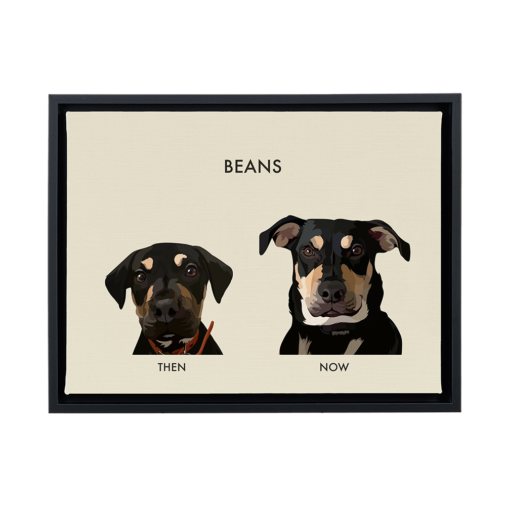 Framed portrait of a dog named 'Beans' showing 'Then' and 'Now' comparisons on a beige background.