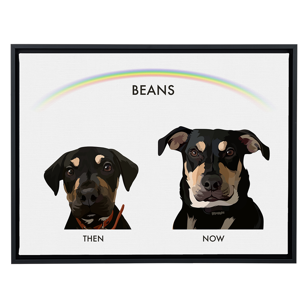 A horizontal canvas print with a black frame on a light gray background. The print has a white background with a faint rainbow arching over the top. It features two digital portraits of a black and tan dog named "BEANS." The smaller, younger-looking portrait on the left is labeled "THEN," and the larger, adult portrait on the right is labeled "NOW."