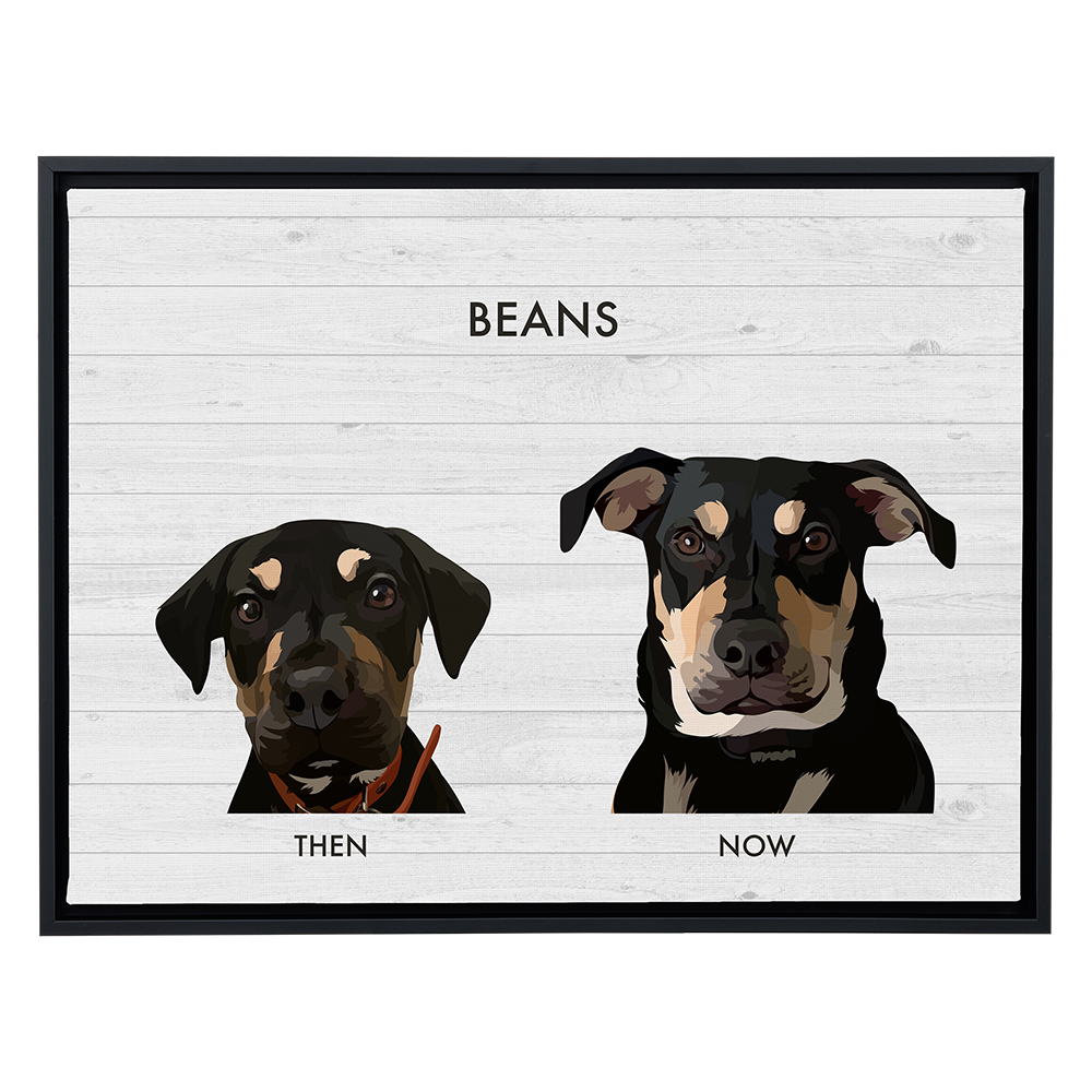 A large, horizontal canvas print with a black frame on a light gray background. The print has a whitewashed shiplap wood plank background and features two digital portraits of a black and tan dog named "BEANS." The smaller, younger-looking portrait on the left is labeled "THEN," and the larger, adult portrait on the right is labeled "NOW."