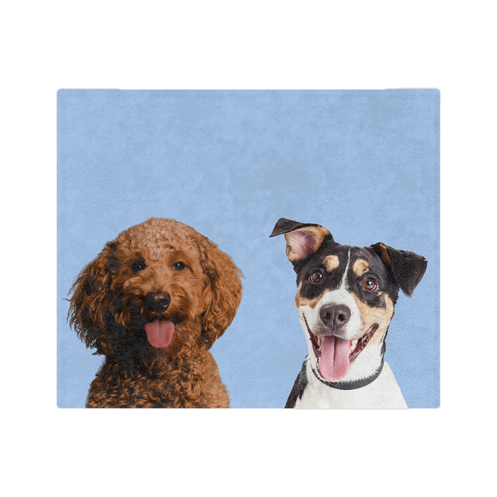 Blue blanket featuring the portraits of two dogs.