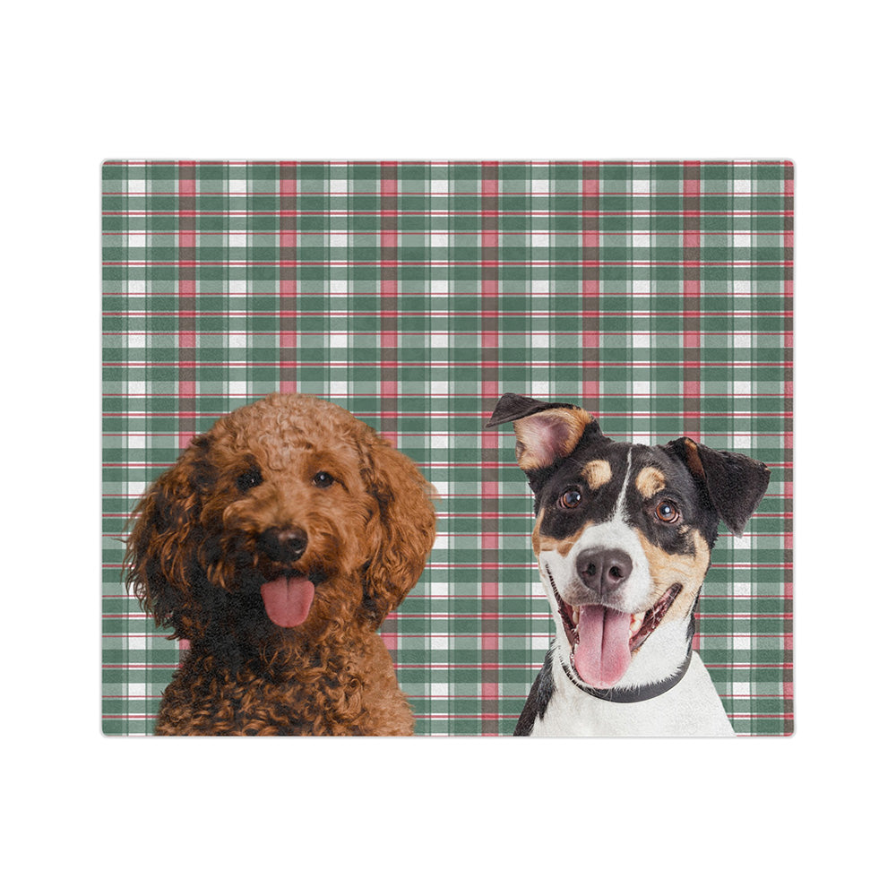 FlannelCutOut2Pets