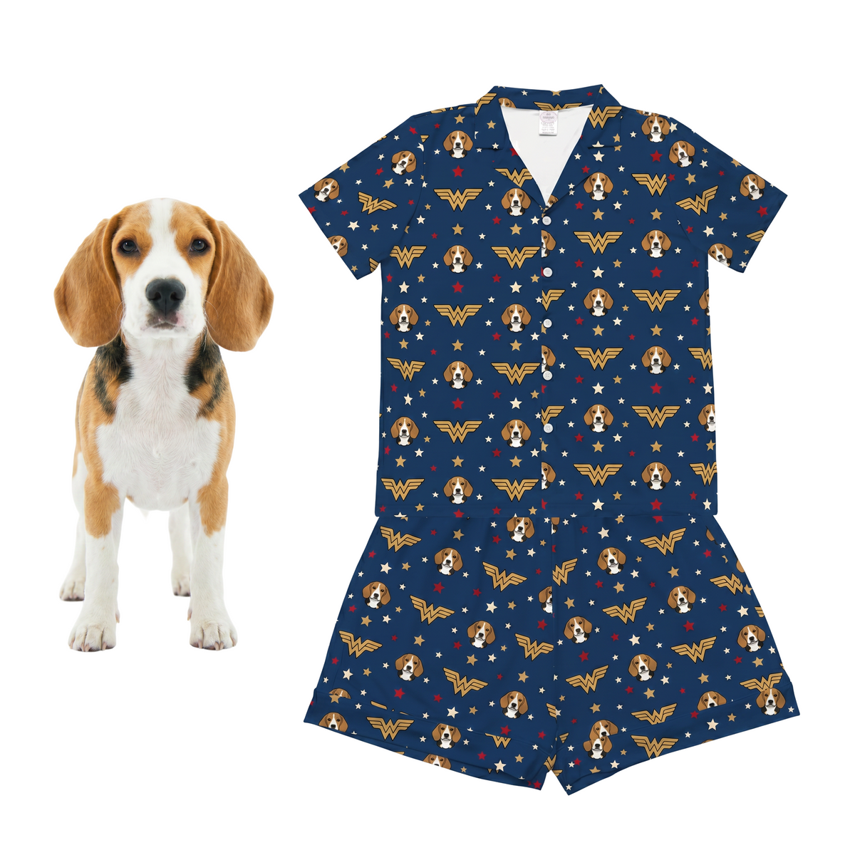 Dog with a matching blue shirt and shorts set featuring a wonder woman design.
