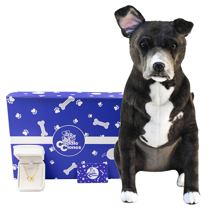 Cuddle Clones Memorial Gift Box