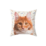 Pillow with a cat's face printed and a background of stars of David and roman candles.