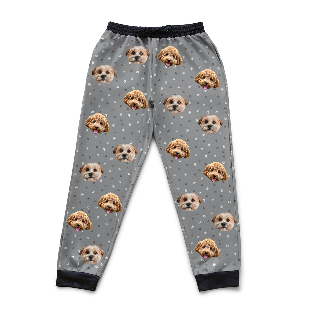 SlateGrayPaws2Pets