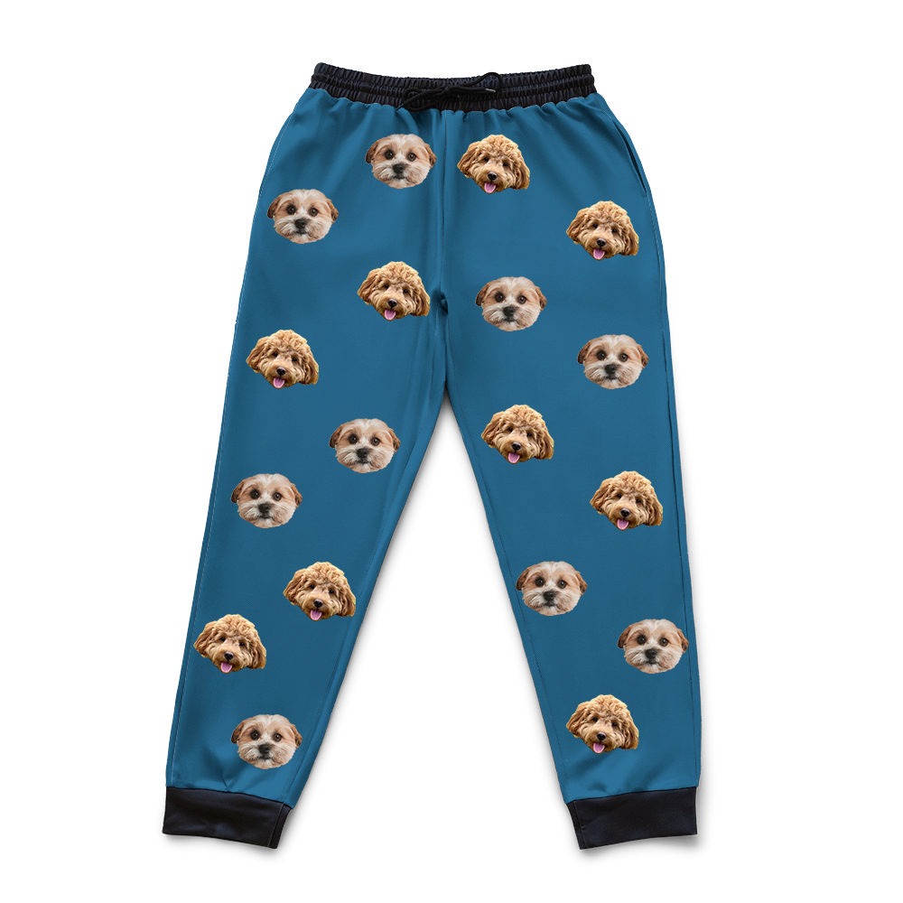 SolidBlue2Pets