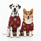 Two dogs wearing matching red short-sleeve dog shirts with a printed pattern of dog portraits and decorative motifs, posed against a clean white studio background.