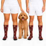 Three models wearing matching burgundy socks with a gold and green pirate-themed pattern, shown from the waist down with white shorts. A small golden-brown poodle stands in the center.