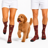 A small brown poodle stands between two cropped human legs wearing matching burgundy crew socks with a small multicolor printed pattern and black toes, on a clean white studio background.