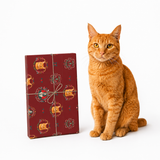 An orange tabby cat sits beside a wrapped gift box on a clean white background. The gift box is dark red with a repeating cat-themed ornamental pattern and is tied with thin string.