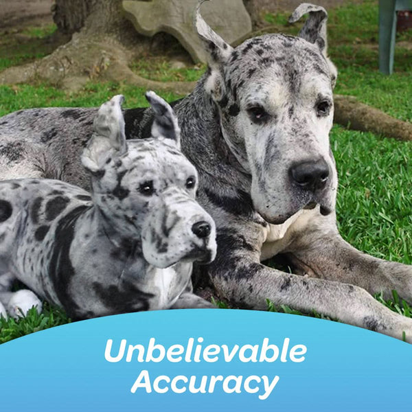 Stuffed Animal That Looks Like Your Pet Customize a HighQuality Dog