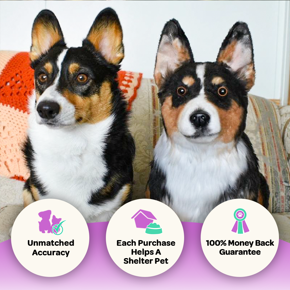 Custom Corgi Plush Cuddle Clone