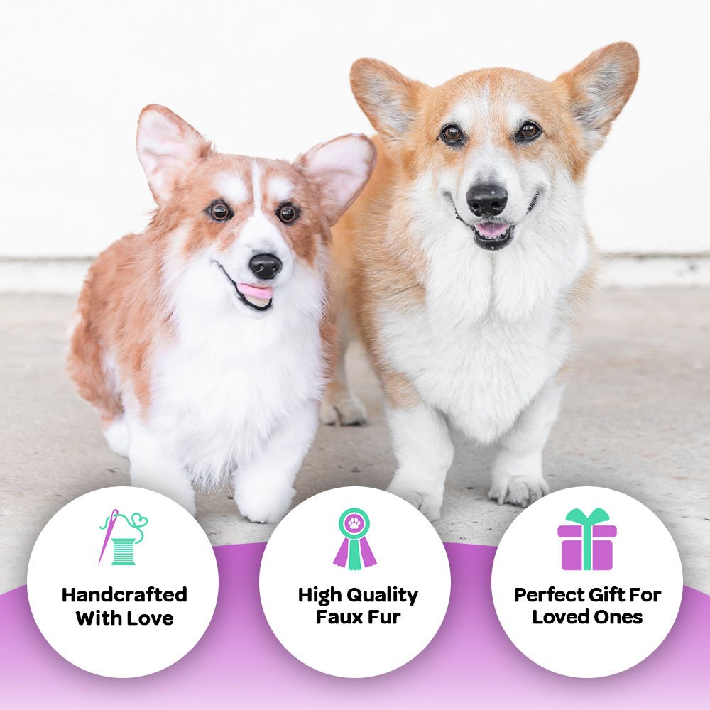 Custom Corgi Cuddle Clone