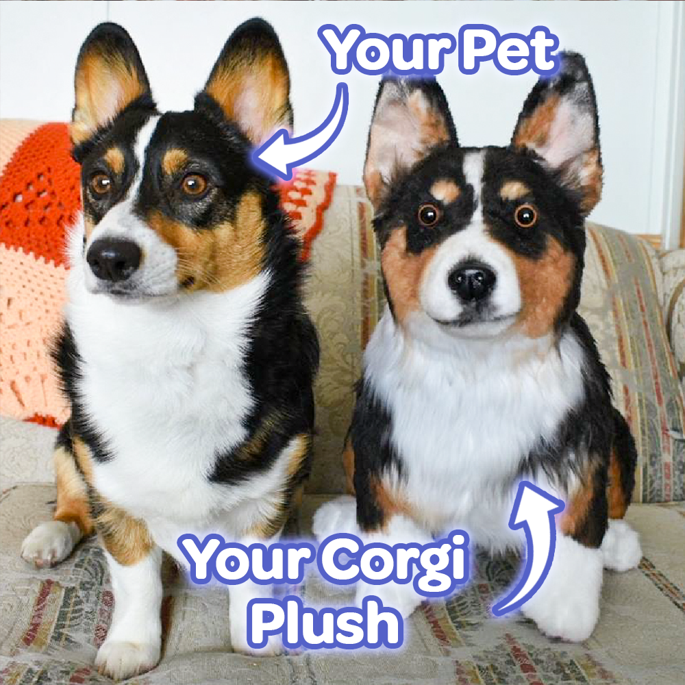 Custom Corgi Plush Cuddle Clone