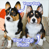 Custom Corgi Plush Cuddle Clone