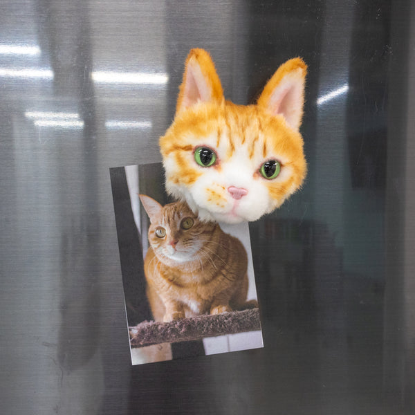 Pet Clones Cuddle Clones