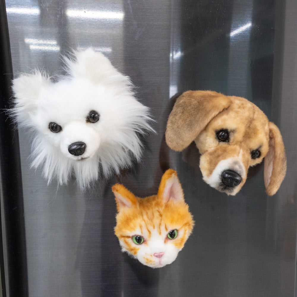 Customized Pet Magnets