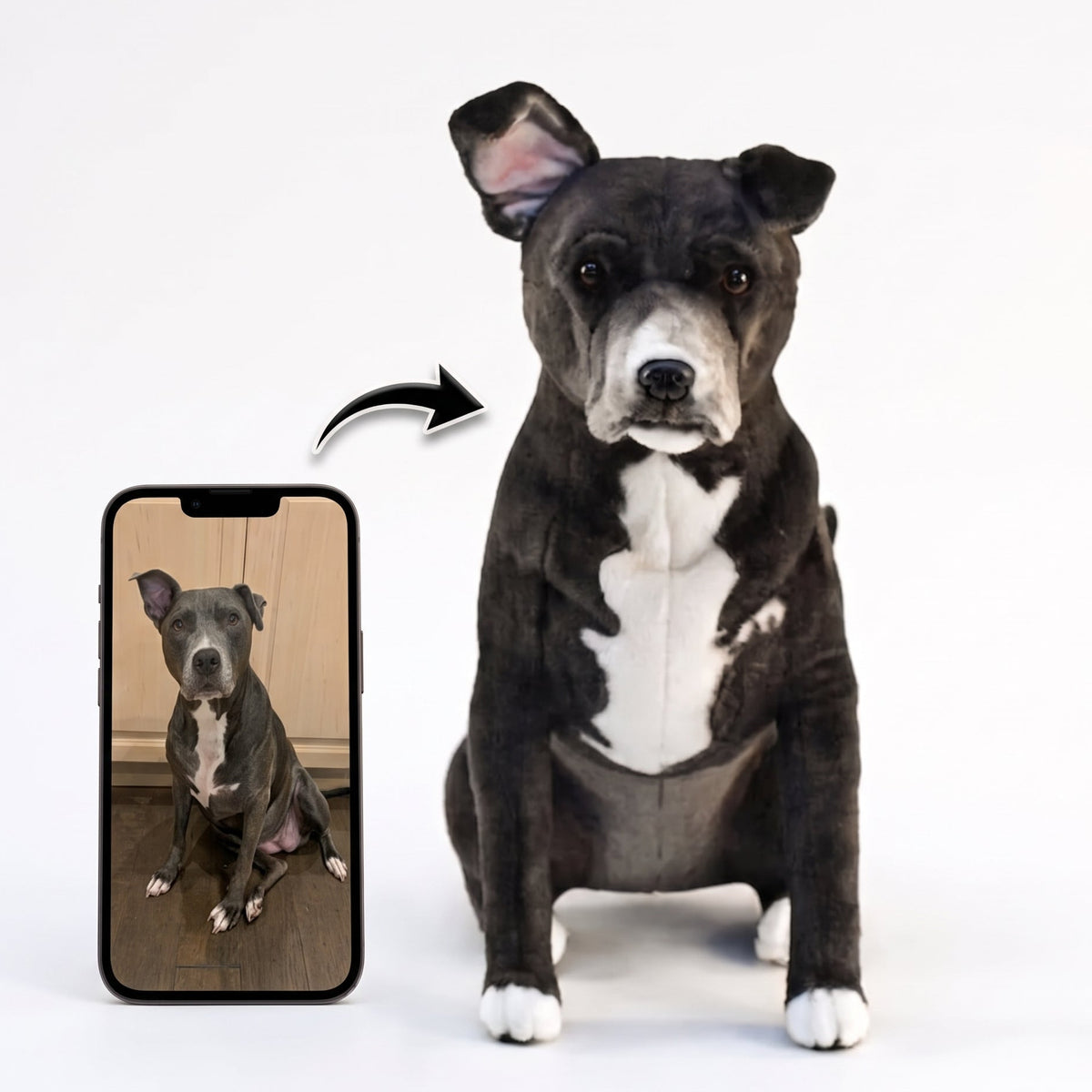 Black and white pit bull memorial plush standing beside a framed photo of the dog it was made from