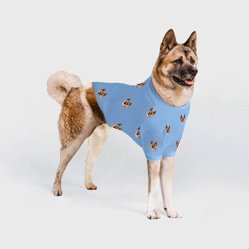 Custom Dog Pajamas